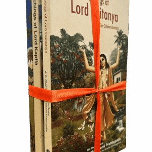 Life Lessons from the Original Subject Matter Experts - ज्ञानिनः तत्त्वदर्शिनः