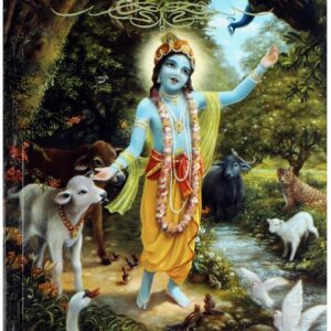 ಜೀವದ ಮೂಲ ಜೀವ ( jeevada moola jeeva )